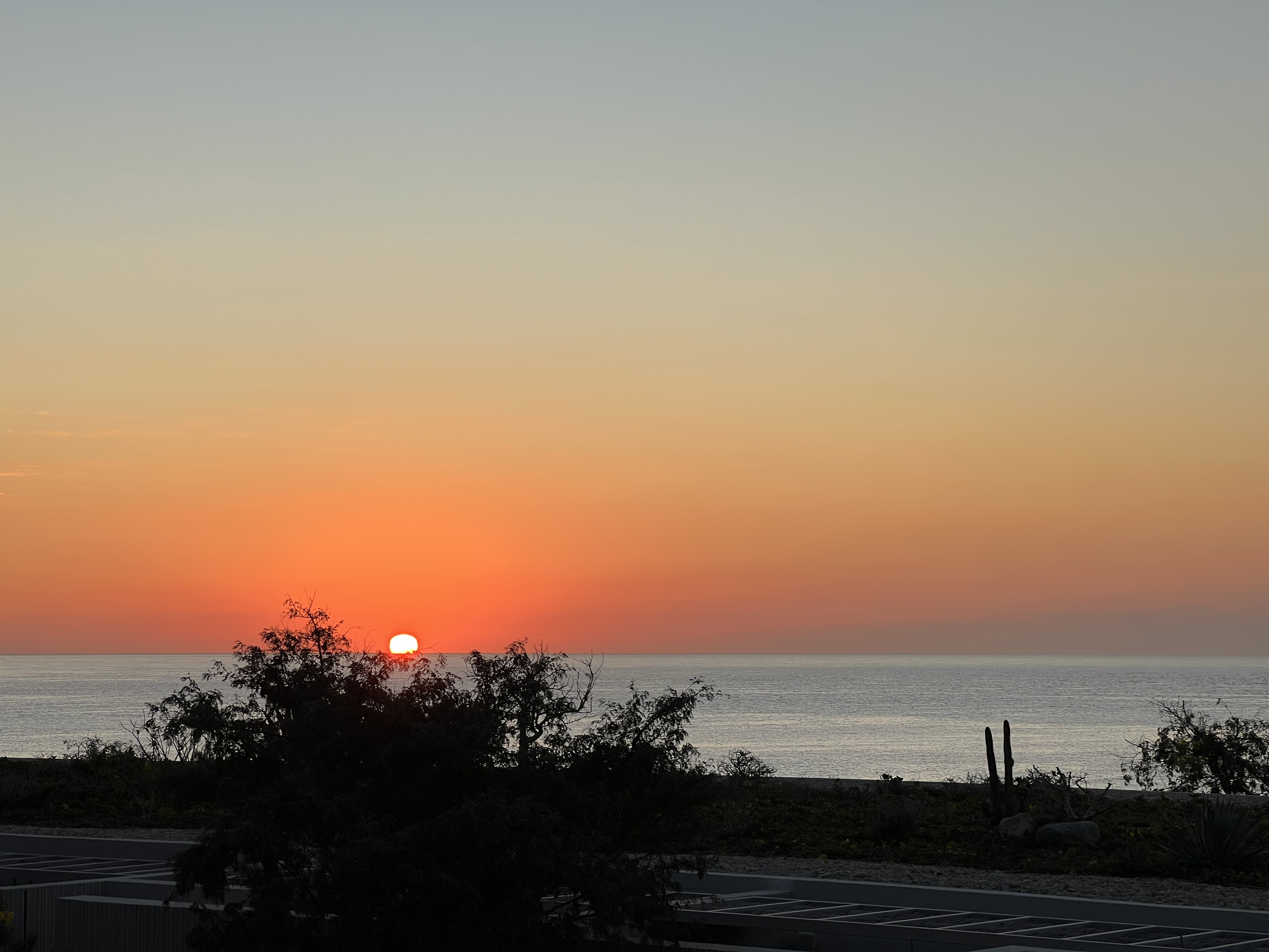 ./2024/13 - Cabo/IMG_4934.jpg